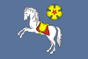 علم Ostrava