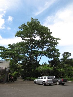 Starr-090720-3129.jpg