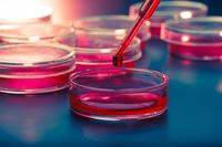 Stem-cell sampling.jpg