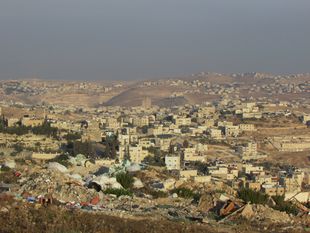 صور باهر.