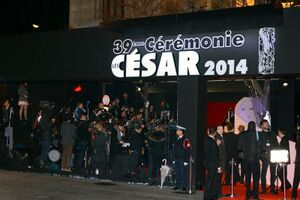 Césars 2014.jpg