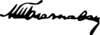 Milivoje P Blaznavac Signature.png
