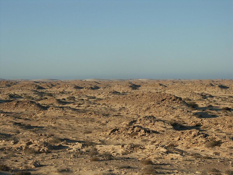 ملف:Western sahara landscape.jpg