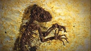 Idaamerimuseum5.jpg