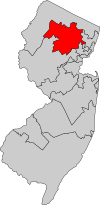 New Jersey's 11th congressional district (2013).svg
