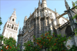Andalucia (9).png
