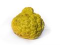 Lime444.jpg