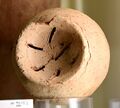 Pottery jar with integral strainer.