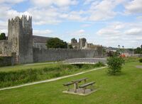 Town wall, Fethard, Co. Tipperary - geograph.org.uk - 207567.jpg