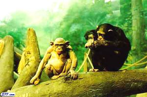 Animal s7 93.jpg