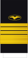 Almirante Ecuadorian Navy[17]
