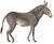 Equus taeniopus - 1700-1880 - Print - Iconographia Zoologica - Special Collections University of Amsterdam - cropped.jpg
