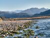 Kosi River, Jim Corbett National Park, Ramnagar, Uttarakhand.jpeg