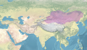 Map of the Uyghur Khaganate.png