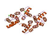1hvd: STRUCTURAL AND ELECTROPHYSIOLOGICAL ANALYSIS OF ANNEXIN V MUTANTS. MUTAGENESIS OF HUMAN ANNEXIN V, AN IN VITRO VOLTAGE-GATED CALCIUM CHANNEL, PROVIDES INFORMATION ABOUT THE STRUCTURAL FEATURES OF THE ION PATHWAY, THE VOLTAGE SENSOR AND THE ION SELECTIVITY FILTER