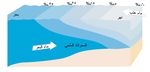 مصبات الأنهار حيث تحتلط مياه الأنهار العذبة بمياه البحر المالحة
