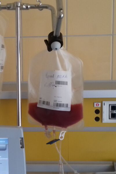 ملف:Hematopoietic stem cell.jpg