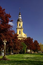 vue de l'église Saint-Paulin de Trèves