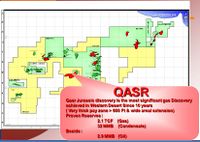 اكتشافات النفط والغاز في غرب الدلتا.