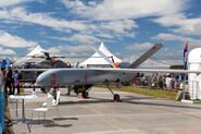 FRBR 160716 TAI ANKA 01.jpg