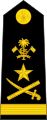 ޖެނެރަލް General (Maldivian Marine Corps)