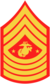 three chevrons up and four down with Eagle, Globe, and Anchor insignia flanked by two stars
