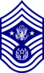 E9d USAF CMSAF new.svg