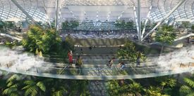 Canopy Bridge