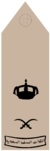 LIWA (Field uniforms).png