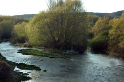 Union del Rio Omaña y Rio Luna.JPG