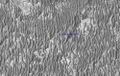 Opportunity landing site, sand dunes around of Victoria Crater. MRO (29 November 2006)