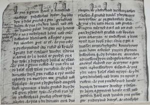 Photograph of chronicle