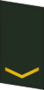 PLAGF-Collar-0701-PVT.png