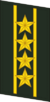 PLAGF-Collar-0717-SNC.png