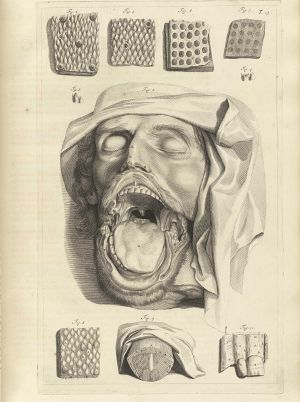 Bidloo Ontleding 1690 13.jpg