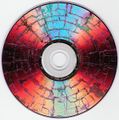 فركتل متشكل جراء إضاءة DVD بأمواج ميكروية