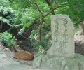 A deer resting near an engraved stone.