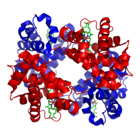 1GZX Haemoglobin.png