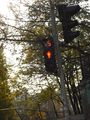 Traffic light with counter (seconds until green light) in Kiev