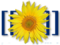 Mediawiki-logo.png
