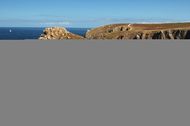 Heathland in Pointe du Van, Western Brittany.
