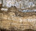 Top of a regressive sequence with algal laminations (yellow) and crystallised gypsum, salt lagoon "chott", Tunisia.