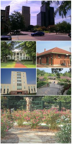مع عقارب الساعة: Tyler skyline with Plaza Tower at right and People's National Bank office building in center, Cotton Belt Depot, Caldwell Zoo, Chamblee Rose Garden, Smith County Courthouse, Goodman Home.