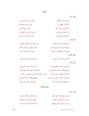 الصفحة التالية &larr;