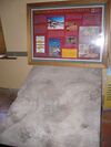 Eve Footprints replica.jpg