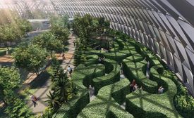 Canopy Mazes