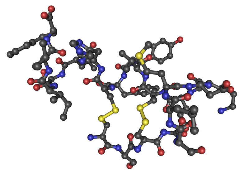 ملف:1EDN human endothelin1 02.png