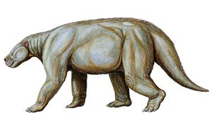 Portrait view of a heavily built 4-legged animal with a strong tail