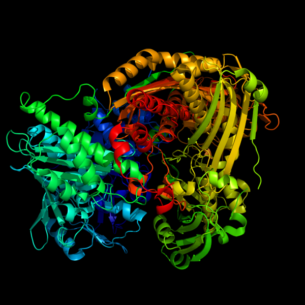 ملف:Aldehydoxidase.png