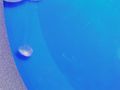 Jellyfish6.JPG